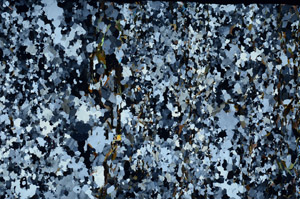 Cross Polarized, S95231