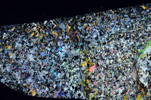 Cross Polarized, S95271