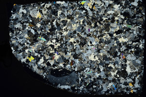 Cross Polarized, S95389