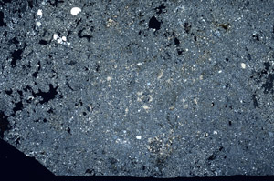 Cross Polarized, S95473