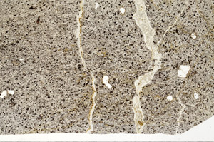 Plane Polarized, S95488