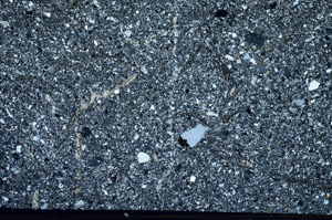 Cross Polarized, S95517