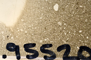 Plane Polarized, S95520