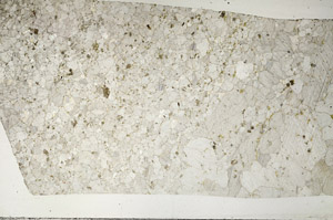 Plane Polarized, S95536