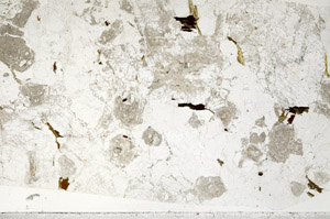 Plane Polarized, S95562