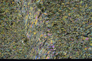 Cross Polarized, S95607