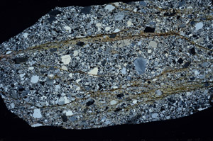 Cross Polarized, S95767