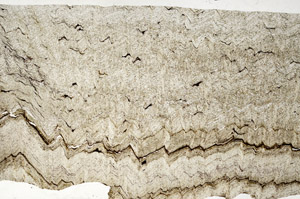 Plane Polarized, S95772