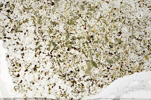 Plane Polarized, S95807