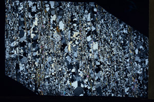 Cross Polarized, S95815/B