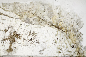 Plane Polarized, S95822