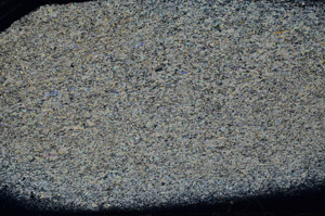 Cross Polarized, S95829