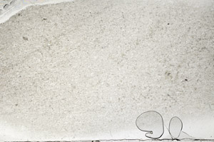 Plane Polarized, S95829