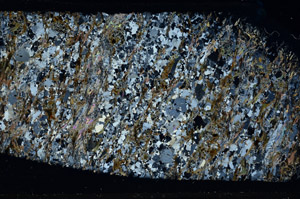 Cross Polarized, S95835