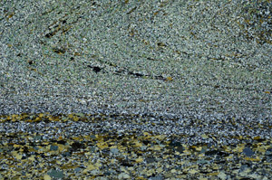Cross Polarized, S95840
