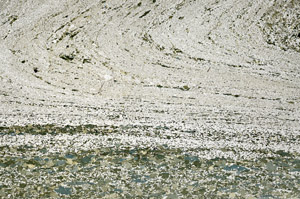 Plane Polarized, S95840