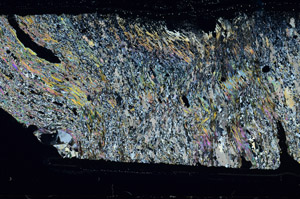 Cross Polarized, S95842