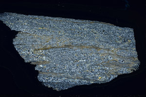 Cross Polarized, S95847