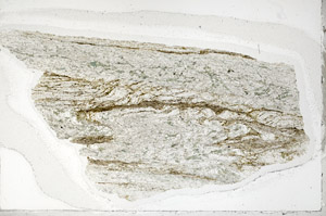 Plane Polarized, S95847