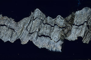 Cross Polarized, S95848