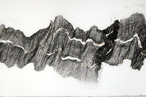 Plane Polarized, S95848