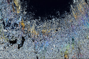 Cross Polarized, S95849