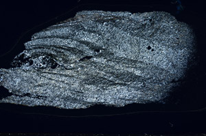 Cross Polarized, S95850