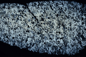 Cross Polarized, S95853