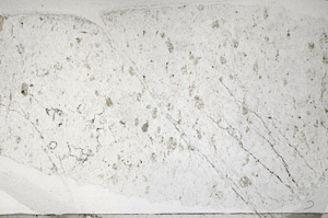 Plane Polarized, S95853