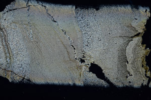 Cross Polarized, S95855