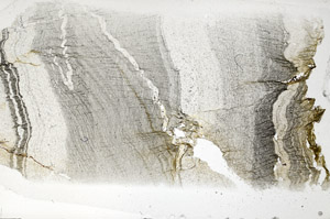 Plane Polarized, S95855