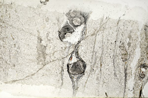 Plane Polarized, S95861