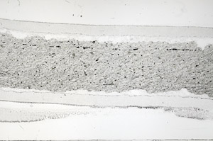 Plane Polarized, S95880