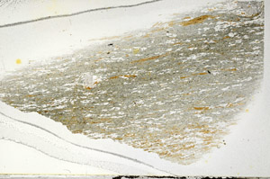 Plane Polarized, S95881