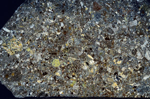 Cross Polarized, S95902