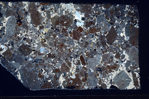 Cross Polarized, S96002