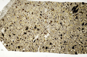 Plane Polarized, S96032