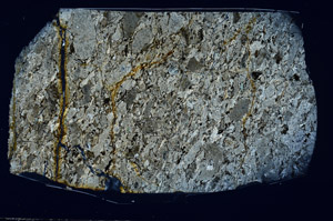 Cross Polarized, S96085