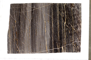 Plane Polarized, S96121