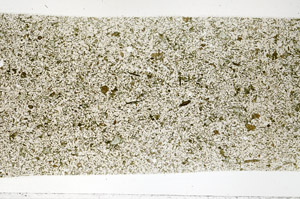 Plane Polarized, S96276