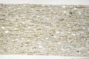 Plane Polarized, S96302