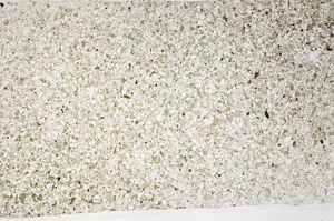 Plane Polarized, S96397