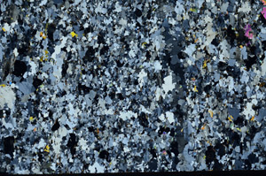 Cross Polarized, S96481