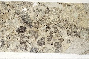 Plane Polarized, S96580