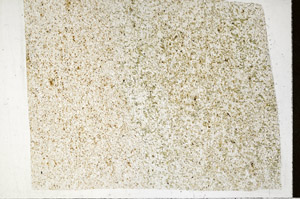 Plane Polarized, S96821