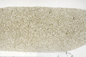 Plane Polarized, S96846