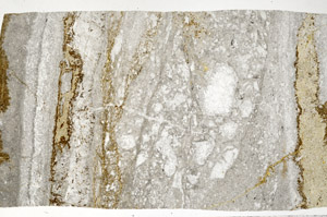 Plane Polarized, S96848