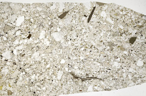 Plane Polarized, S96852