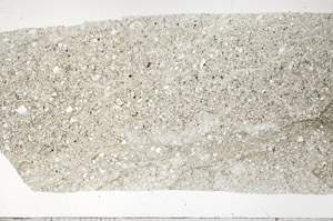 Plane Polarized, S96855