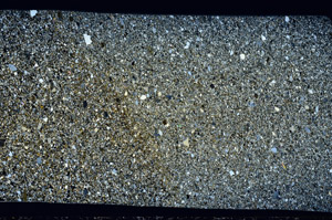 Cross Polarized, S96859